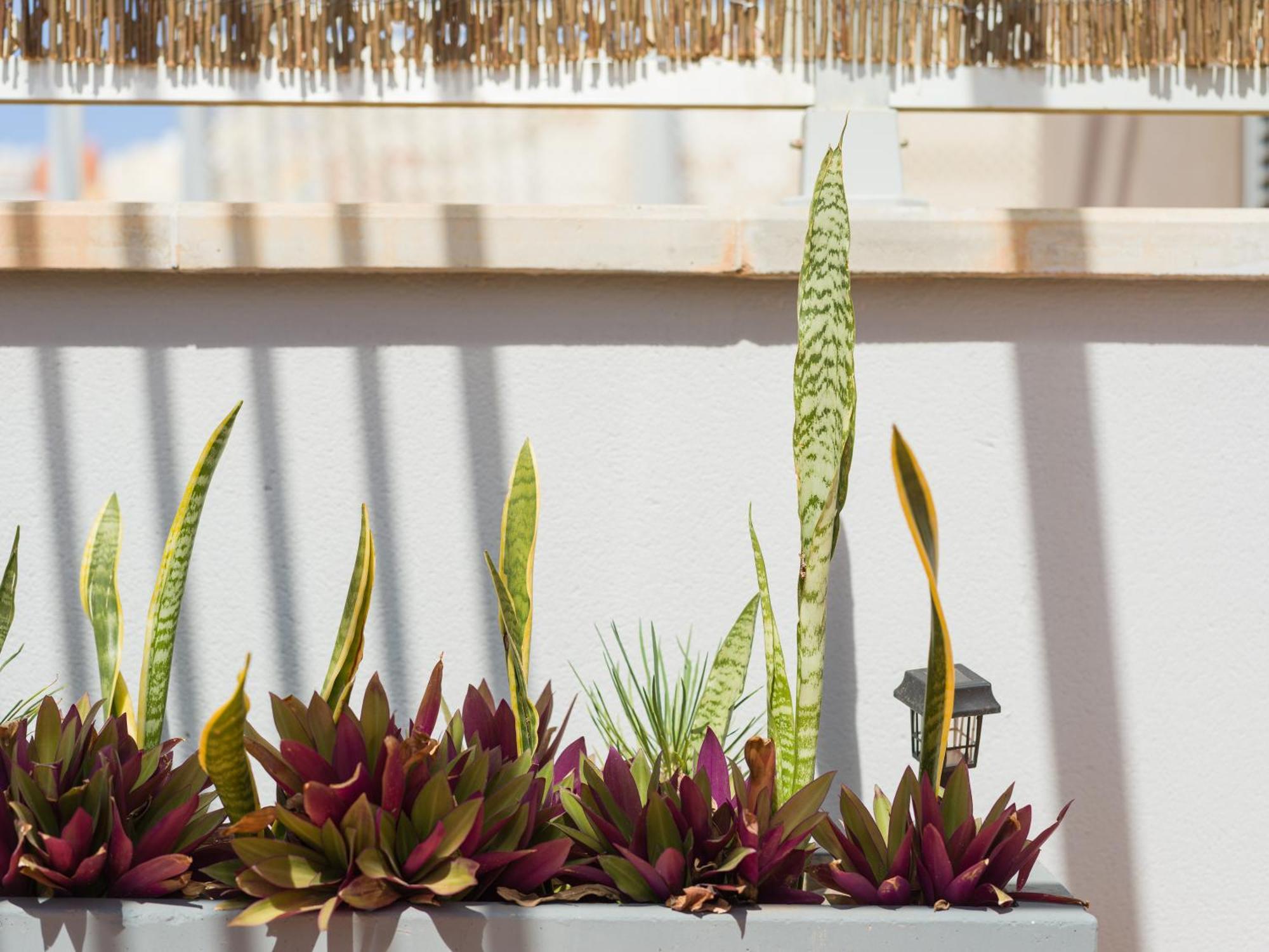 Casa Maresia Penthouse - Pool & Beach Sardina Exterior foto